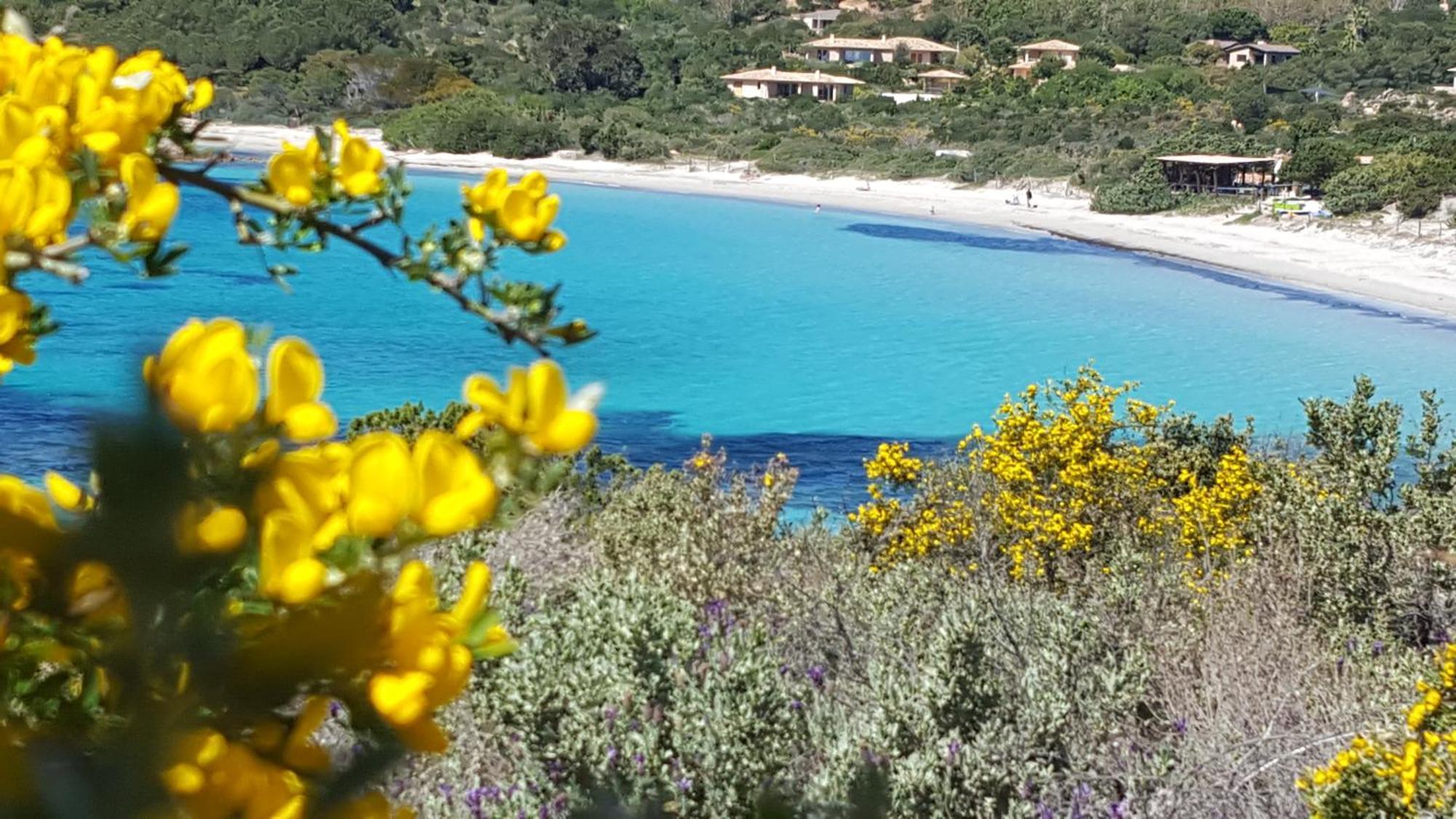 Locations Residence Rocca Rossa Palombaggia Classees 3 Etoiles Porto-Vecchio (Corsica) Exterior foto